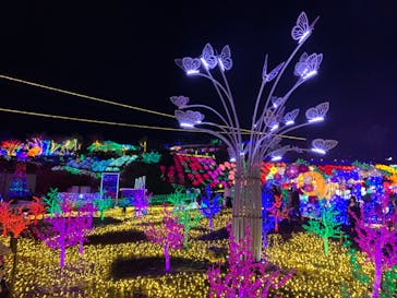 伊豆ぐらんぱる公園に投稿された画像（2022/12/9）