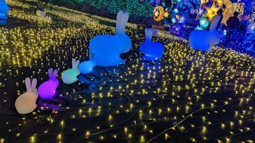 伊豆ぐらんぱる公園に投稿された画像（2022/12/9）