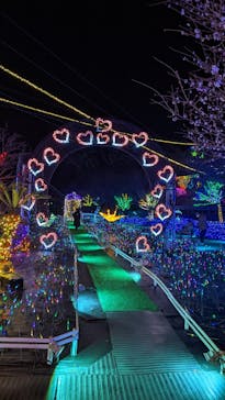 伊豆ぐらんぱる公園に投稿された画像（2022/12/9）