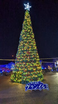 伊豆ぐらんぱる公園に投稿された画像（2022/12/9）