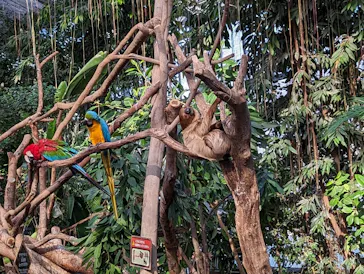 神戸どうぶつ王国に投稿された画像（2022/12/9）