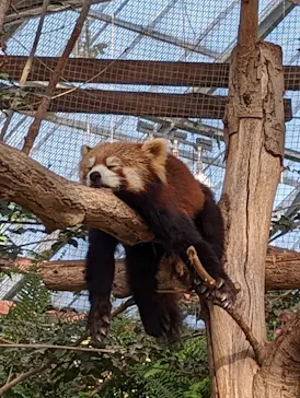 神戸どうぶつ王国に投稿された画像（2022/12/9）