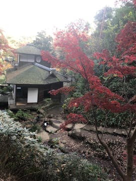 三溪園に投稿された画像（2022/12/9）