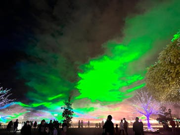 東京メガイルミに投稿された画像（2022/12/9）