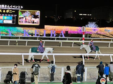 東京メガイルミに投稿された画像（2022/12/9）