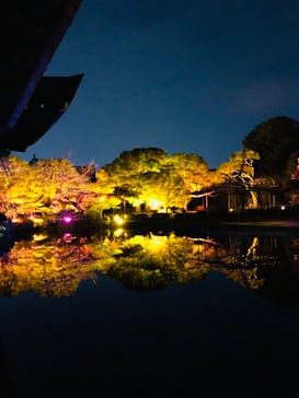 NAKEDヨルモウデ2022平安神宮に投稿された画像（2022/12/9）