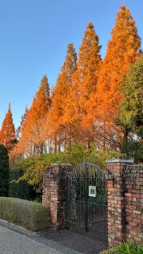 安城産業文化公園デンパークに投稿された画像（2022/12/9）