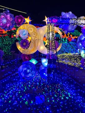 伊豆ぐらんぱる公園に投稿された画像（2022/12/9）