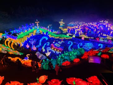 伊豆ぐらんぱる公園に投稿された画像（2022/12/9）