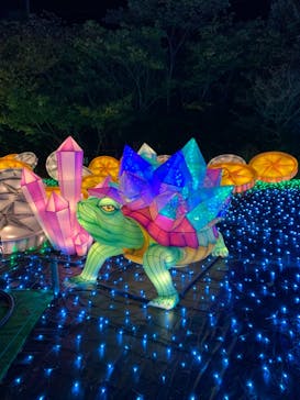 伊豆ぐらんぱる公園に投稿された画像（2022/12/9）