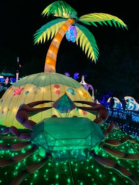 伊豆ぐらんぱる公園に投稿された画像（2022/12/9）