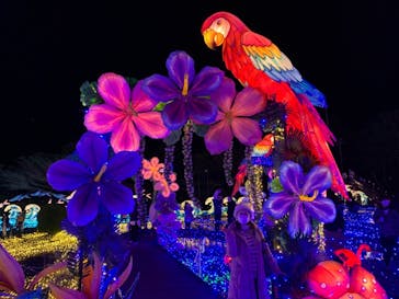 伊豆ぐらんぱる公園に投稿された画像（2022/12/9）