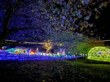 伊豆ぐらんぱる公園に投稿された画像（2022/12/9）