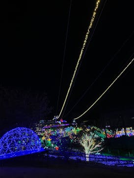 伊豆ぐらんぱる公園に投稿された画像（2022/12/9）