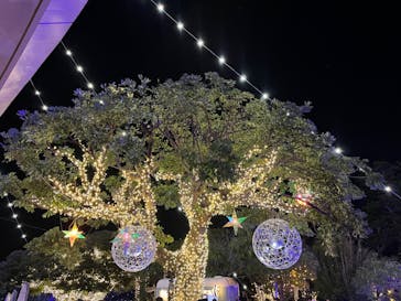 江の島シーキャンドルに投稿された画像（2022/12/9）