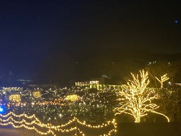 いばらきフラワーパークに投稿された画像（2022/12/9）