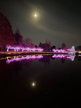 東武動物公園に投稿された画像（2022/12/10）