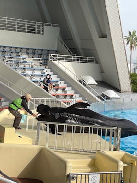 マリンワールド海の中道に投稿された画像（2022/12/10）