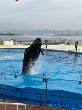 マリンワールド海の中道に投稿された画像（2022/12/10）