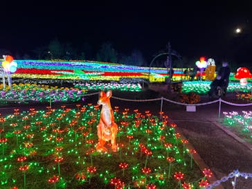 東武動物公園に投稿された画像（2022/12/10）