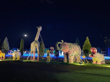 東武動物公園に投稿された画像（2022/12/10）