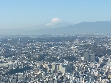横浜ランドマークタワー 69階展望フロア スカイガーデンに投稿された画像（2022/12/10）