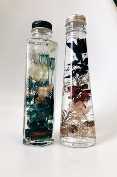 ずこうしつ〜sugamo〜に投稿された画像（2022/12/10）