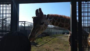 那須サファリパークに投稿された画像（2022/12/10）