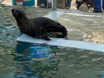 京都水族館に投稿された画像（2022/12/10）