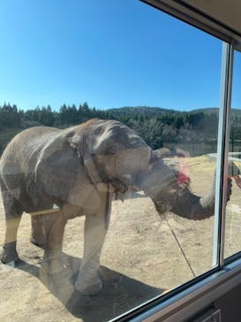 秋吉台自然動物公園 サファリランドに投稿された画像（2022/12/10）