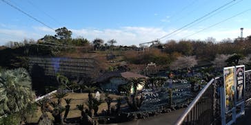 伊豆ぐらんぱる公園に投稿された画像（2022/12/10）