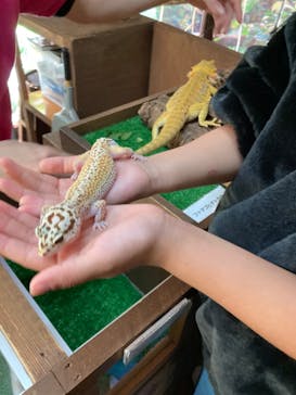 体感型動物園iZooに投稿された画像（2022/12/10）