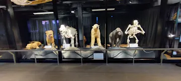 天王寺動物園に投稿された画像（2022/12/10）