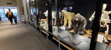 天王寺動物園に投稿された画像（2022/12/10）