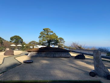 ACAO FORESTに投稿された画像（2022/12/10）