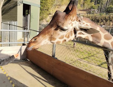 しろとり動物園に投稿された画像（2022/12/10）