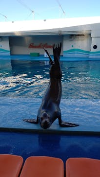 南知多ビーチランド＆南知多おもちゃ王国に投稿された画像（2022/12/10）