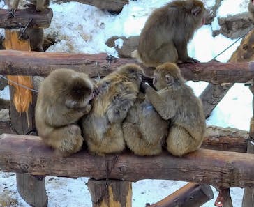 伊豆アニマルキングダムに投稿された画像（2022/12/10）