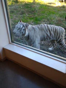 伊豆アニマルキングダムに投稿された画像（2022/12/10）