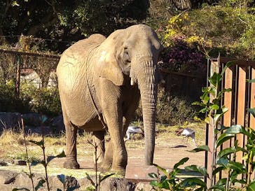 伊豆アニマルキングダムに投稿された画像（2022/12/10）