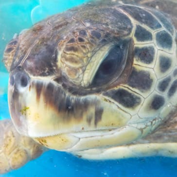 株式会社Gに投稿された画像（2022/12/10）