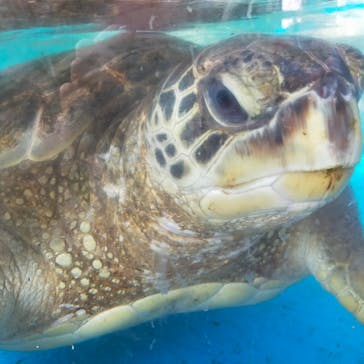 株式会社Gに投稿された画像（2022/12/10）