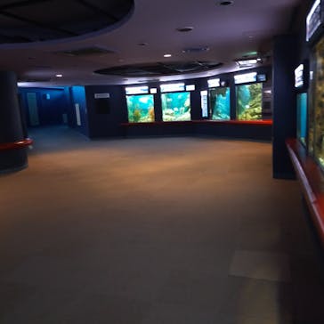 株式会社Gに投稿された画像（2022/12/10）