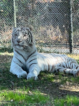 姫路セントラルパークに投稿された画像（2022/12/10）