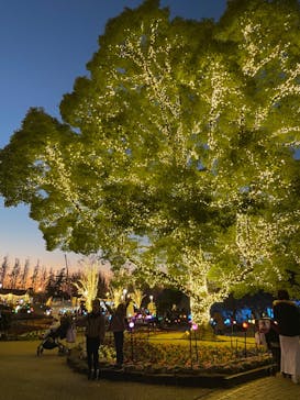 安城産業文化公園デンパークに投稿された画像（2022/12/10）