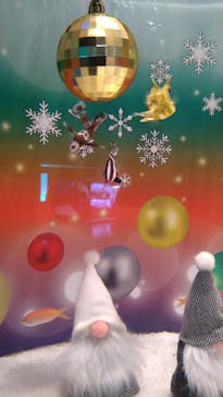 しながわ水族館に投稿された画像（2022/12/10）