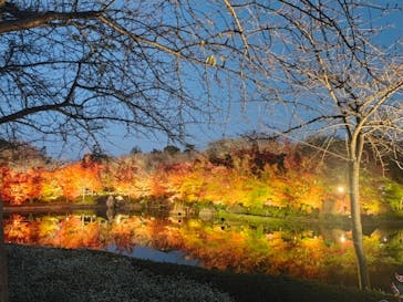 なばなの里に投稿された画像（2022/12/10）