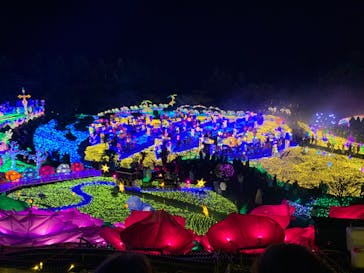 伊豆ぐらんぱる公園に投稿された画像（2022/12/10）