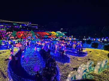 伊豆ぐらんぱる公園に投稿された画像（2022/12/10）