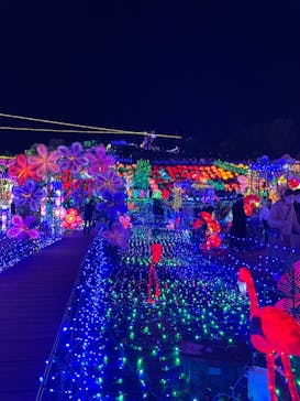 伊豆ぐらんぱる公園に投稿された画像（2022/12/10）